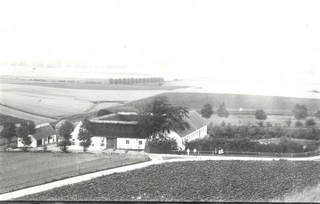 Gården Borrevangsvej 2, Høve - ca. 1920 (B2054)