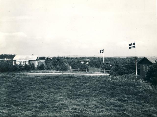 Sommerhusområde i Gudmindrup Lyng - ca. 1955 (B4596)