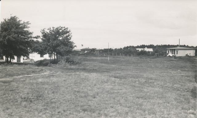 Tengslegård - ca. 1950 (B7231)