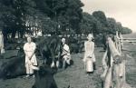 Prøvemalkning ved Dragsholm Slot - sommeren 1940