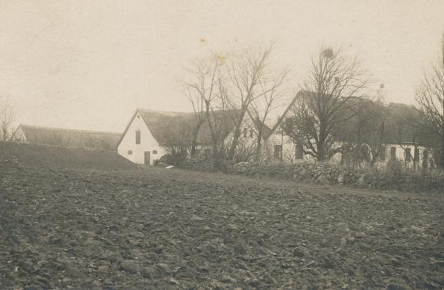 Gården "Horsebjerg" ved Veddinge, 1920 (B2352)